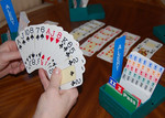 Bridge-Spiel, in der Hand Kartenfolge für einen Pik-Großschlemm, daneben die Bidding-Box