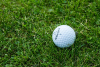 Foto: Ein Golfball liegt im Gras.